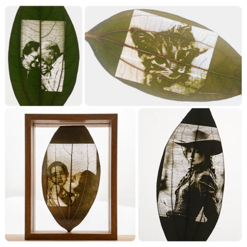 Laser engraved artwork on natural cinnamon leaves featuring creative portrait and landscape designs for resin art, DIY crafts, and decorative projects.