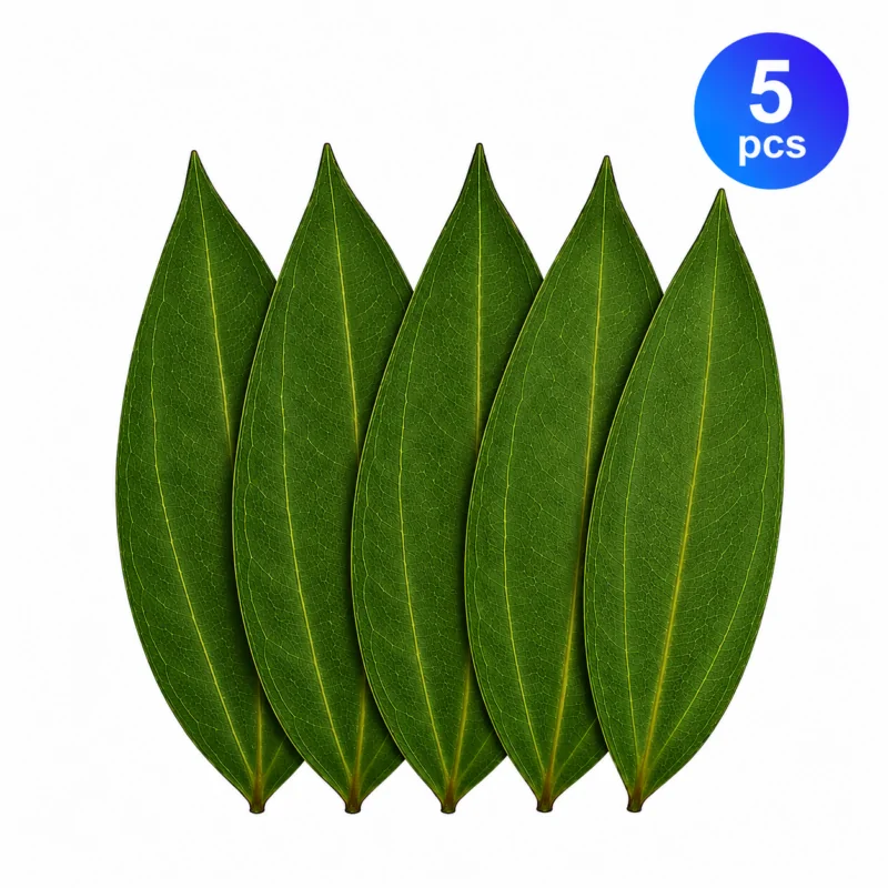 Natural cinnamon leaves pack with fresh green texture isolated on white background for herbal use, spice packaging, and natural product listing.