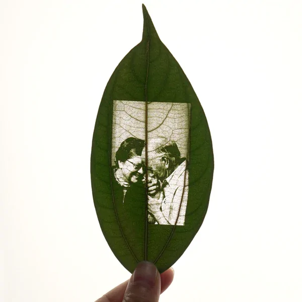 Cinnamon Leaf for Engraving (5pcs) - Image 4