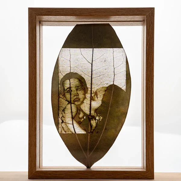 Cinnamon Leaf for Engraving (5pcs) - Image 5